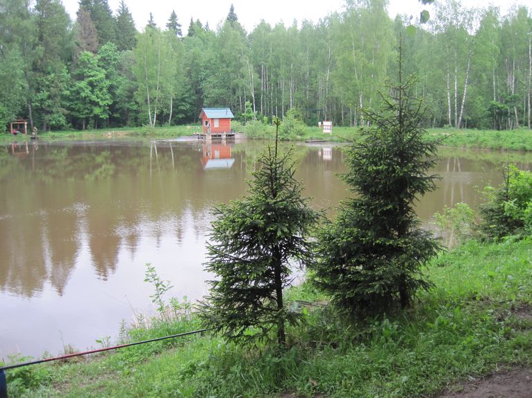 "Клевое место" Лосиный остров
