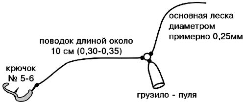 Закидушка на сома