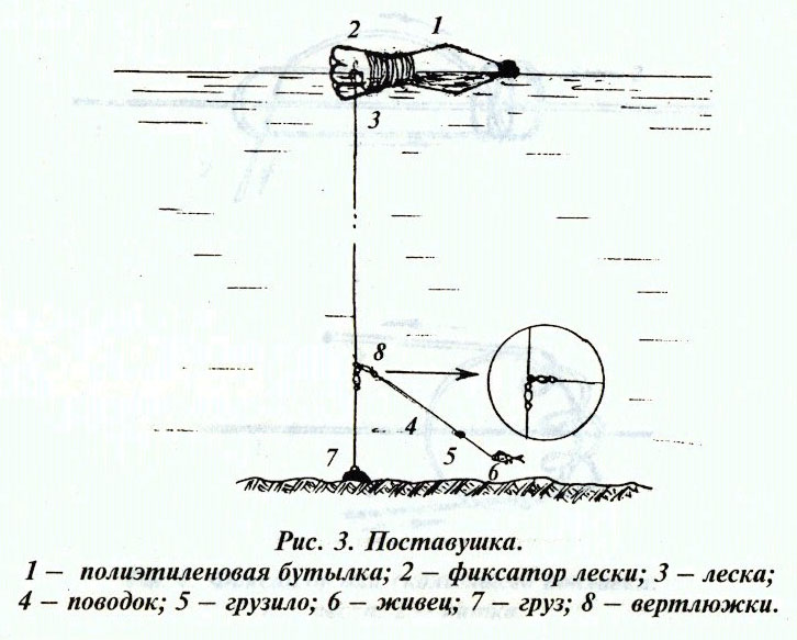 поставушки на судака налима
