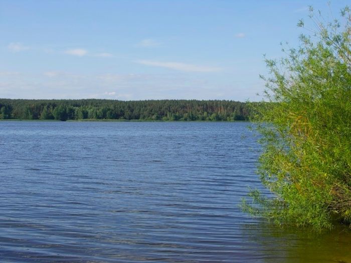 Рыбалка на Старом Осколе на водохранилище